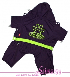 Дождевик ECOstyle "Lim-Paw" фиолетовый для мальчика Размер XS
